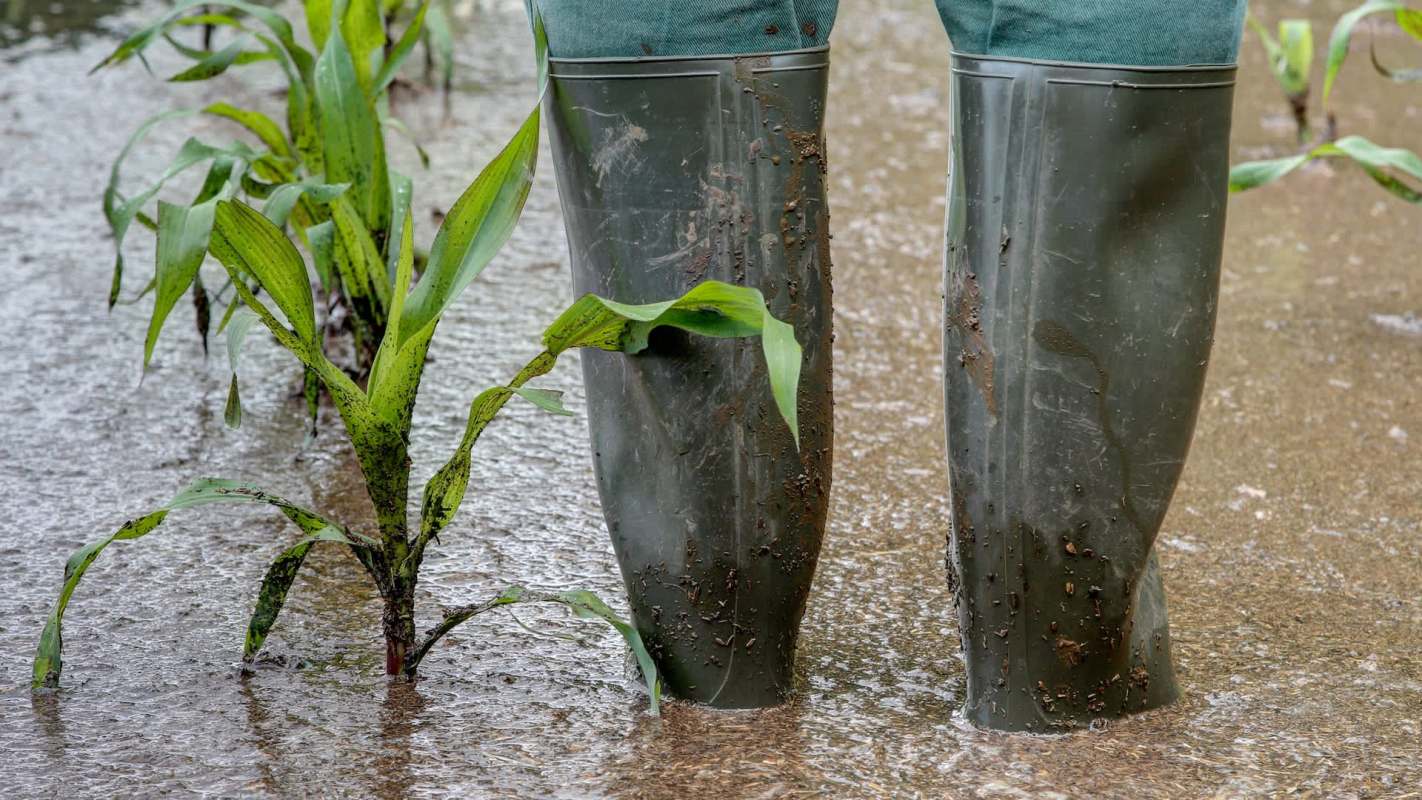 Flooding from Storm Marta in Spain and Portugal.