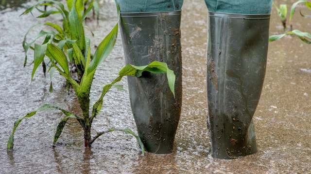 Flooding from Storm Marta in Spain and Portugal.