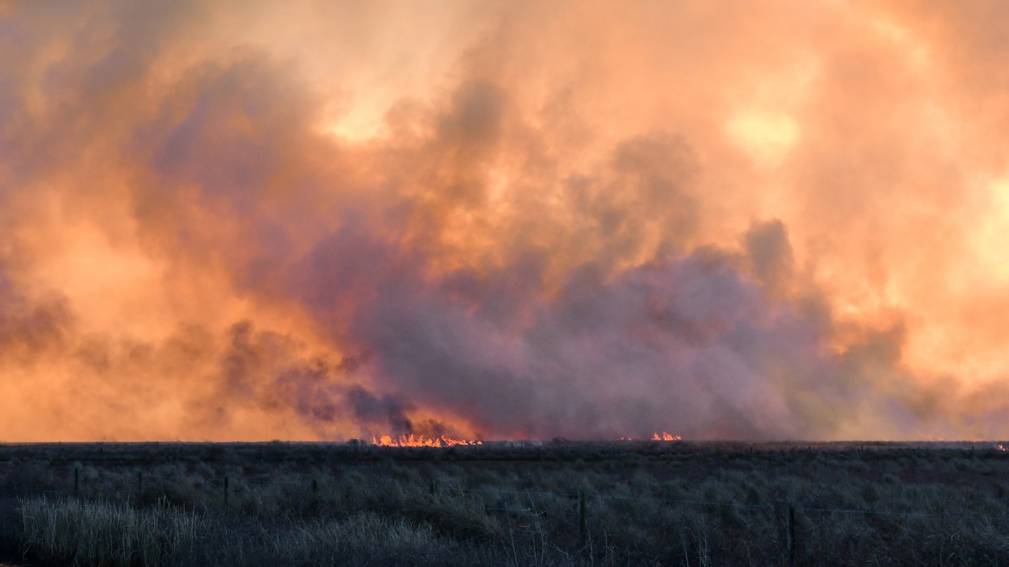 Investigators have determined the cause of the fire was a hot load dropped by a trash truck.