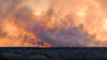 Investigators have determined the cause of the fire was a hot load dropped by a trash truck.