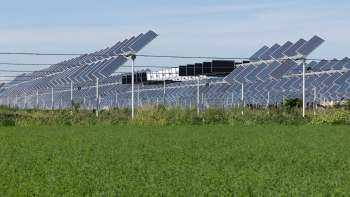 A field of solar panels is set against a backdrop of green grass on a farm and blue sky.