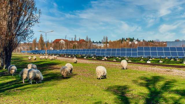 An Australian farmer discovered the solar farm income is greater than he would get off agriculture in this area, with a 15% increase in gross revenue.