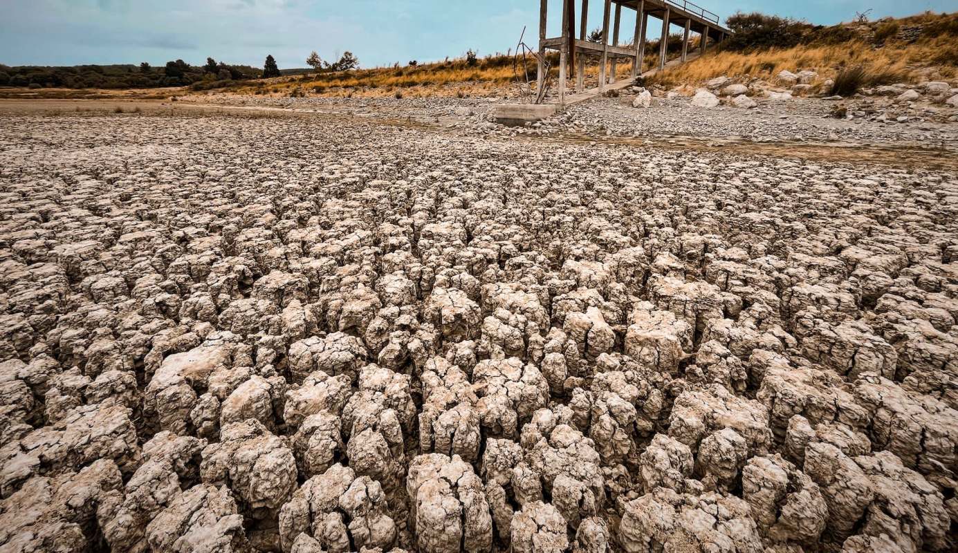 A landscape with drought with sparse vegetation in the background.