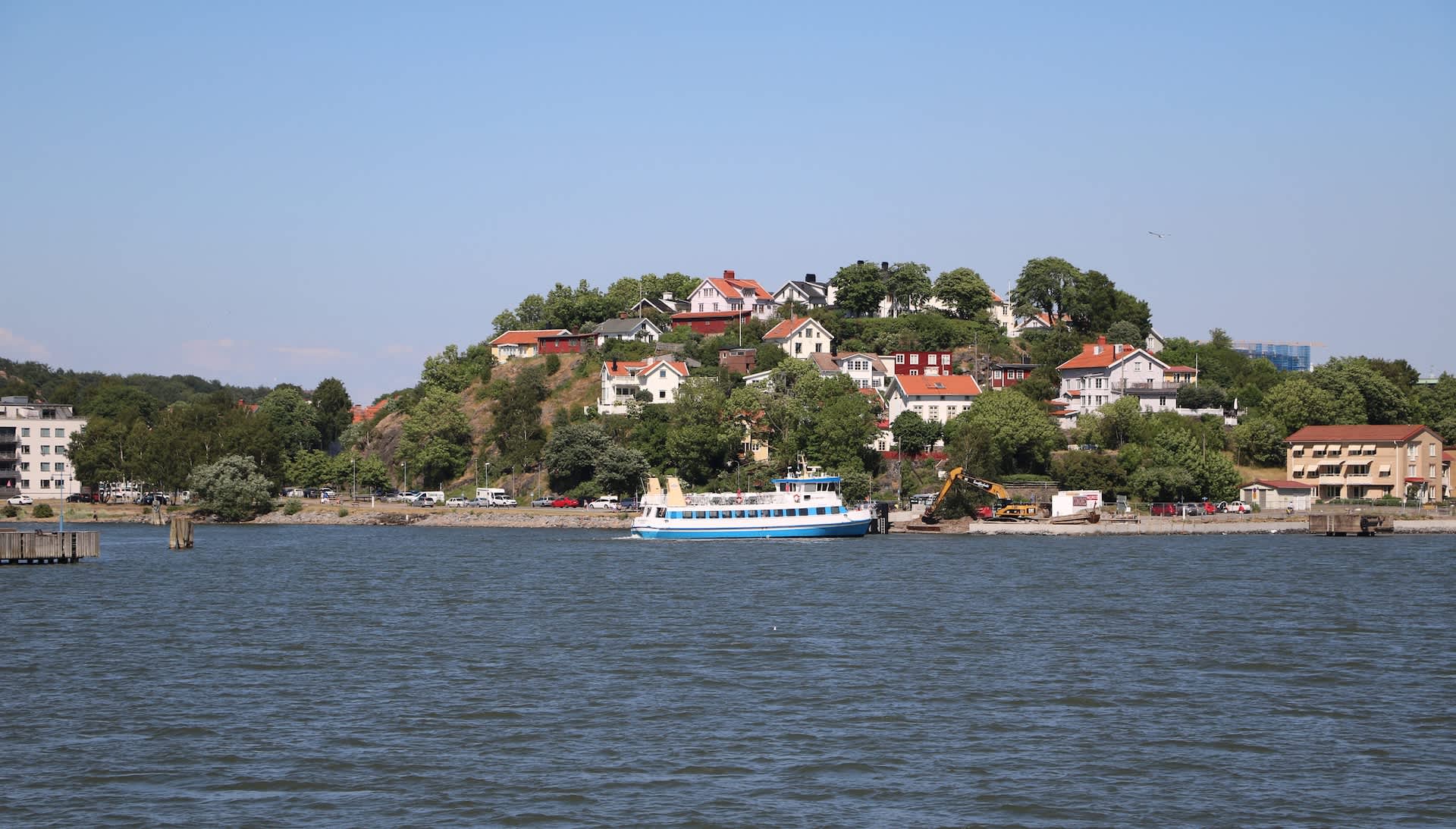 Researchers release thousands of 'prehistoric' creatures in remote river to reclaim ancestral home: 'I actually had goosebumps'