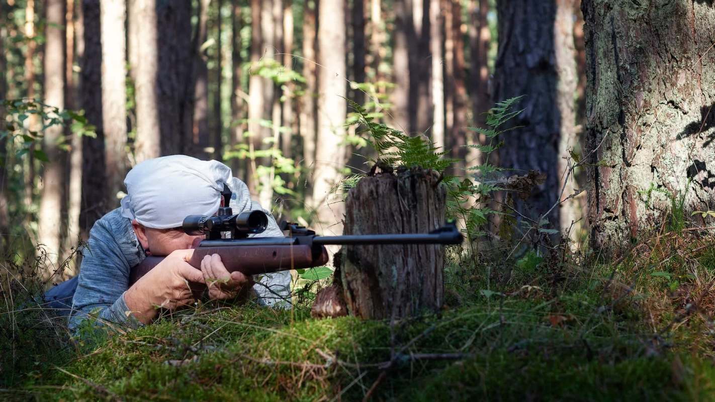 Animal protection groups are backing a bill to ban private beaver kills on public lands in Colorado, which could help manage increasing wildfire risks and drought conditions.
