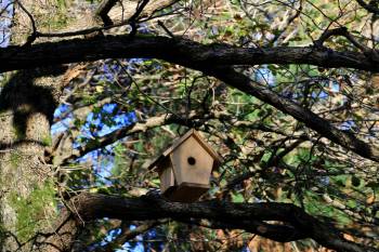 A wooden birdhouse hanging on a tree branch amidst a backdrop of green leaves and blue sky.