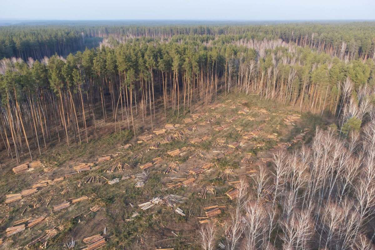 The global business community is actively dismantling the natural systems it relies on, with everyday people paying the biggest price.