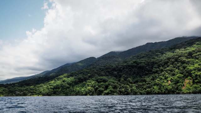 The report details how two lakes in the Democratic Republic of Congo are releasing carbon from surrounding peatlands.