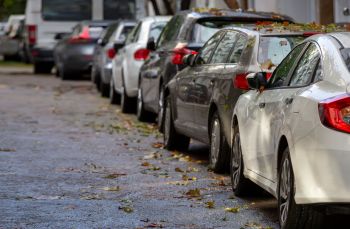 A condo resident took to an anti-homeowners association subreddit to vent about the new HOA vice president, who seemed to want to cut down trees for being messy.