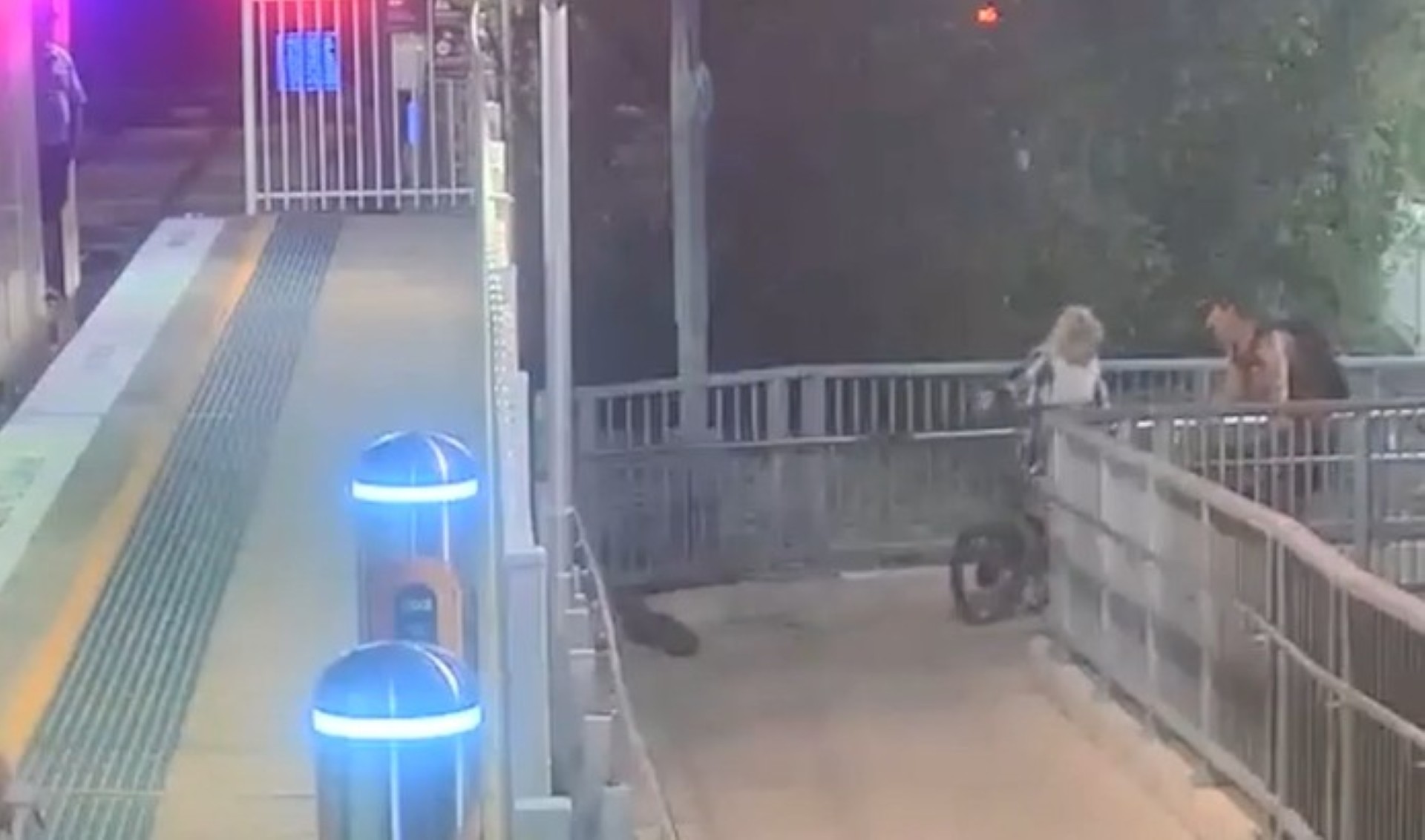 Surveillance video captures venomous snake slithering through crowded train station: 'Very own horror movie'