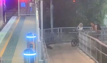 A venomous snake found its way onto a crowded train platform in Sydney, Australia, scaring commuters and putting Transport for New South Wales officials on high alert.