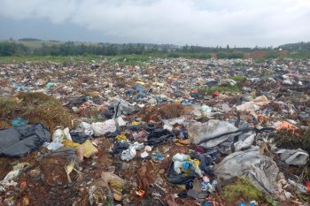 Coca-Cola, PepsiCo, and beverage makers such as Nestlé are locked in a rivalry they'd surely not like to advertise.