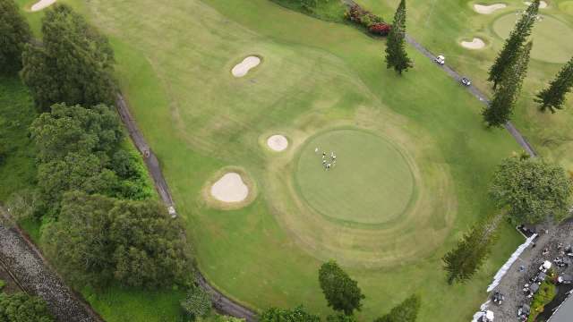 Coconut rhinoceros beetles are tearing through palm trees across Kaua'i, and one golf course shows the scope of the destruction.