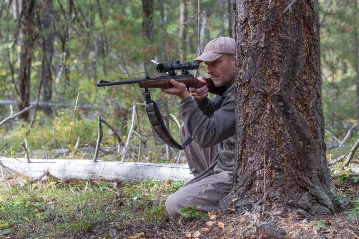 Colorado Parks and Wildlife will consider a ban on commercial fur sales amid a debate over how to manage furbearers like foxes and coyotes.