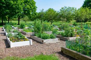 Multiple designers are shifting their focus to agrihoods, neighborhoods where residential buildings are arranged around a central, working farm.