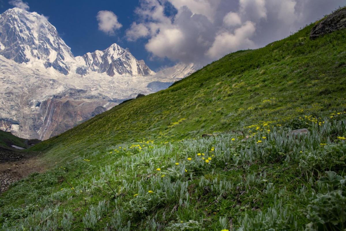 The Himalayas' Darma Valley, near where researchers spotted a snow leopard.