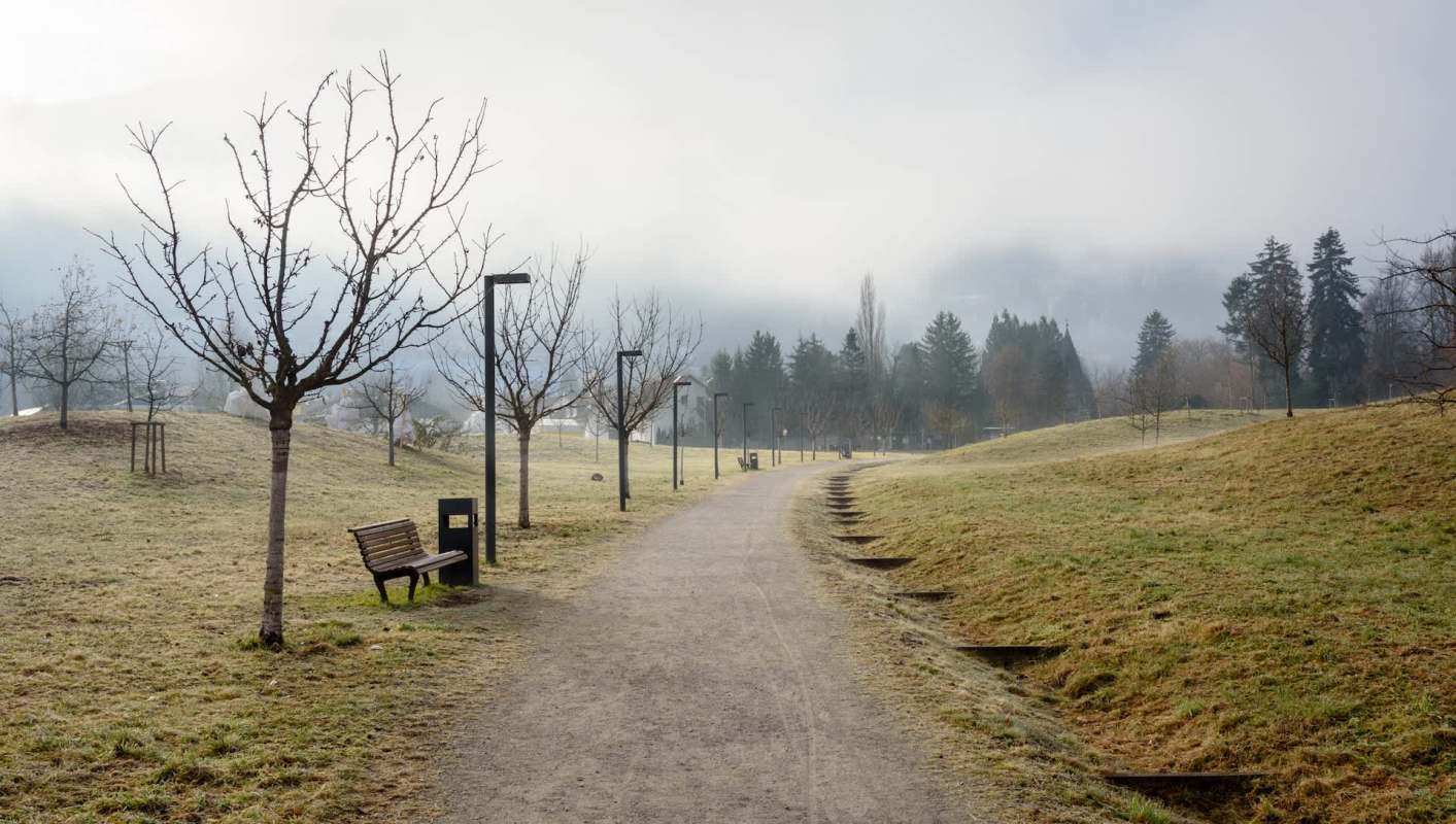 One woman shared a video of all the disposable vapes she found while on a walk, calling out disrespectful litterbugs.