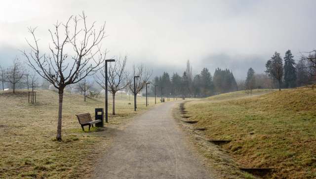 One woman shared a video of all the disposable vapes she found while on a walk, calling out disrespectful litterbugs.