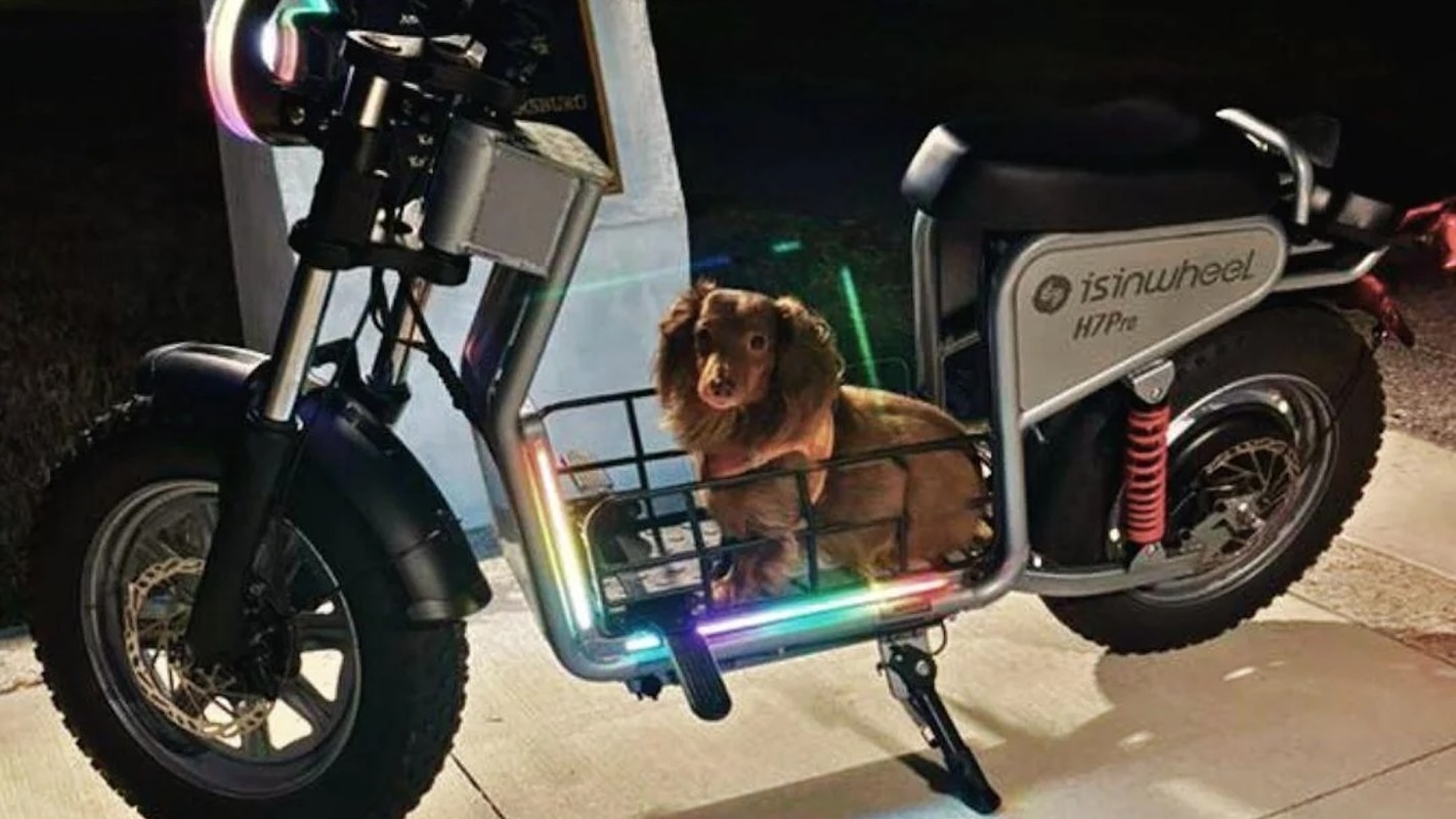 A post on the Reddit community sparked interest after one dog owner shared a photo of their pup riding along in a cozy electric bike setup.