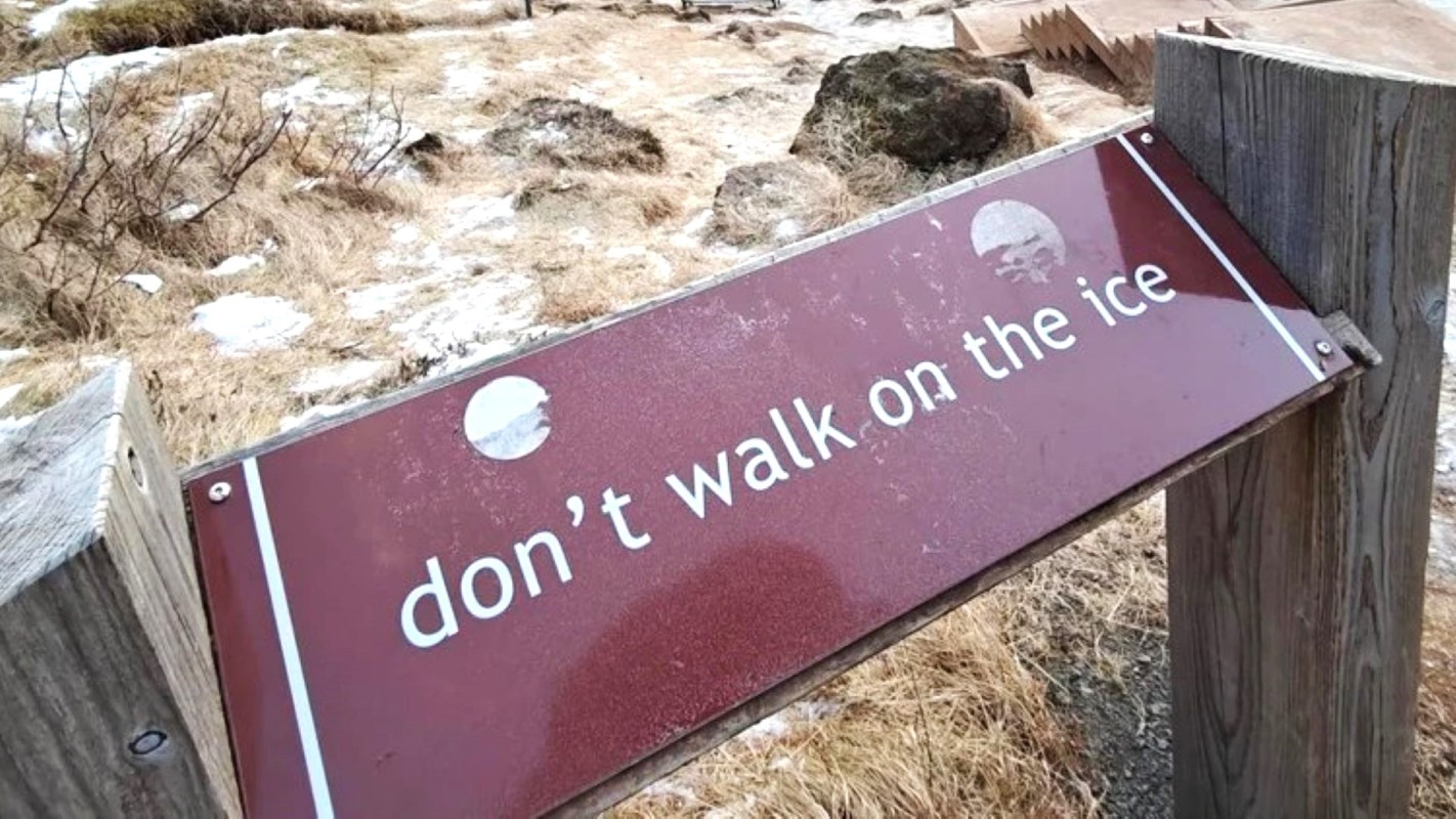 A Redditor posted a photo of their encounter with tourists engaging in dangerous behavior to the r/mildlyinfuriating subreddit.