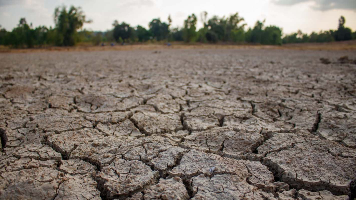 Dry and cracked land experiencing drought.