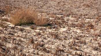 Drought in Turkey.