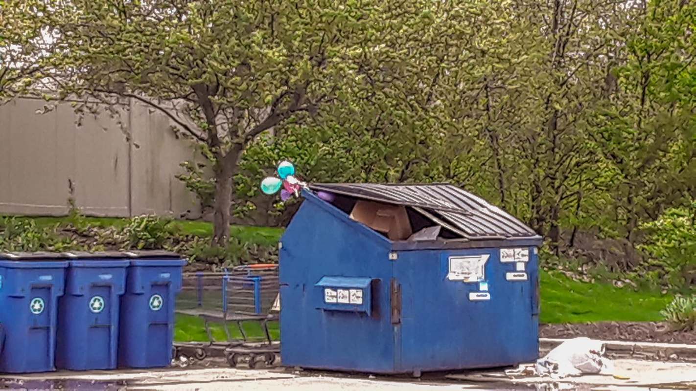 Redditors cheered on a dumpster diver who saved heaps of Valentine's Day items from going to waste.