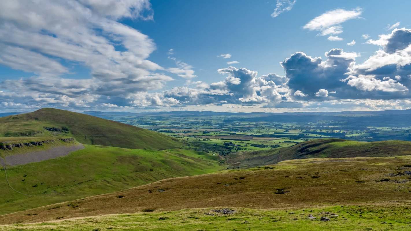 A small upland wading bird that has quietly disappeared from much of its former range is still breeding in Northern England.