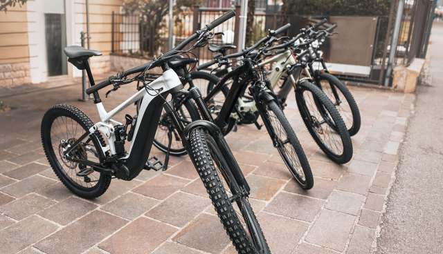 Healdsburg has endorsed a proposal to get electric bikes in the hands of residents.
