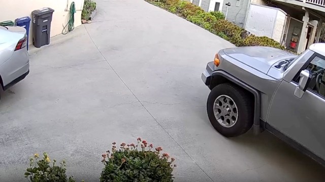 Residents of Santa Barbara, California, were alarmed to learn of a mountain lion that had been spotted in residential areas of their city.