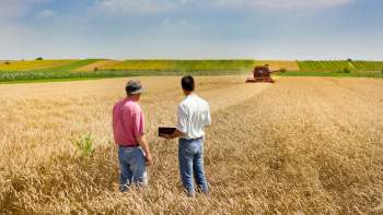 American farmers are turning to solar panels to make farmland more economically and environmentally stable.