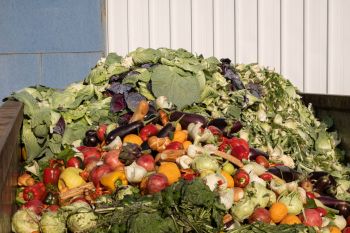 After her son's wedding dinner, Rhode Island state Rep. Lauren Carson asked caterers where all the leftover food waste would go.