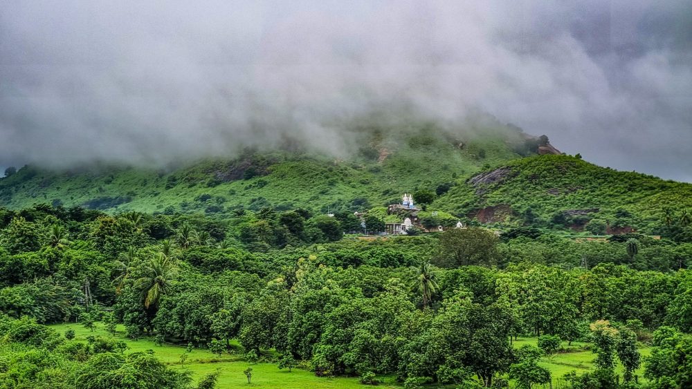 Video footage captured a leopard wandering near a highway in India, causing concern among local residents.