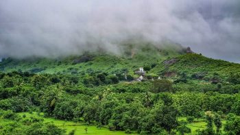 Video footage captured a leopard wandering near a highway in India, causing concern among local residents.