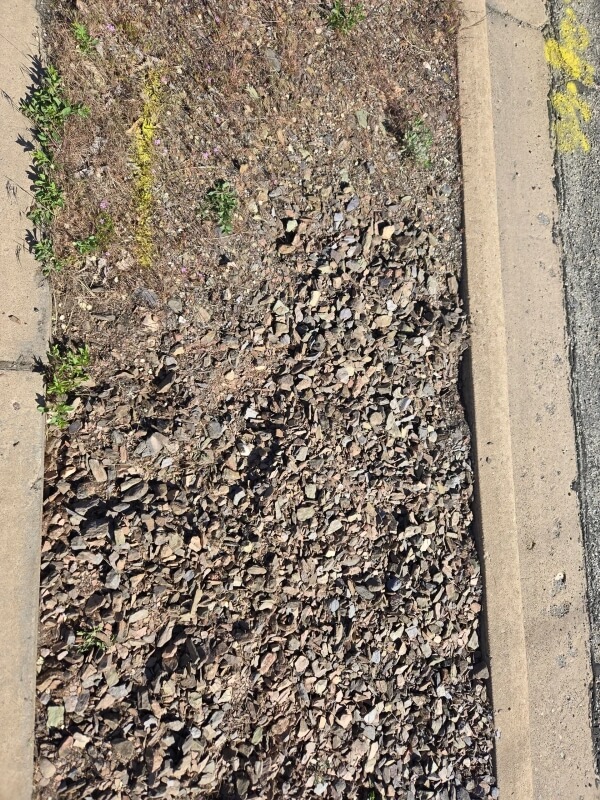 Area of dirt full of weeds.