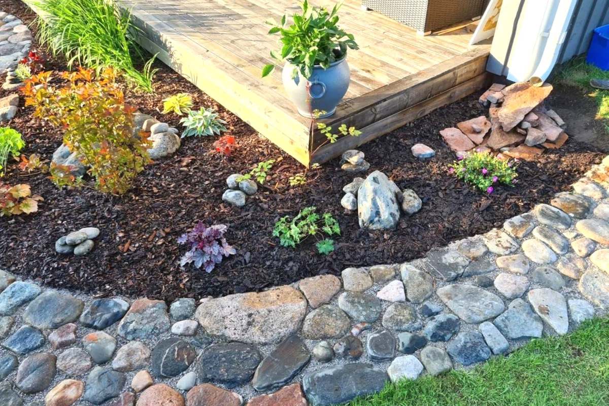 A gardener's beautiful before-and-after photos prove that even a forgotten corner can become a flourishing masterpiece with the right planning and a little care.