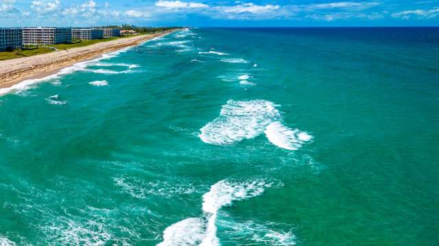 A sighting of a great white shark off the coast of Florida provided marine biologists with key insights into the species' migration route.