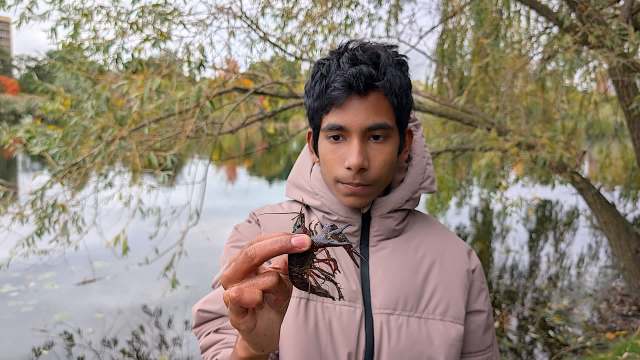 A teenager from Canada, Santhosh Durga Thyagarajan, holds an invasive red swamp crayfish found in Mississauga, Ontario.