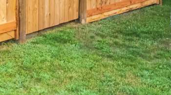 A neighborly dispute has escalated into a relentless source of stress for one homeowner who says their neighbor repeatedly crosses both physical property lines and personal boundaries.