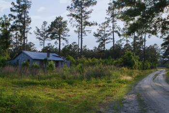 Officers from Malaysia's Department of Wildlife and National Parks uncovered 60 cages stuffed with murai batu songbirds in a residential property in Kluang, Johor.