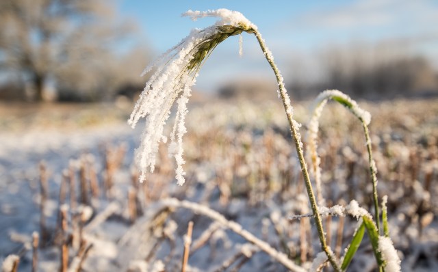 The study highlighted one of the least visible impacts of extreme weather, an increase in domestic violence, and delved into its mechanisms.