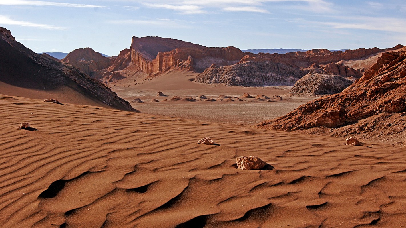 New research shows that organisms are able to survive and even thrive in the dry, salty soil of the Atacama Desert.