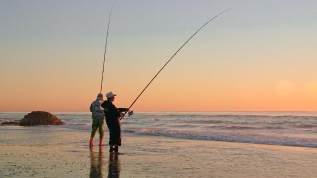 The Miami Beach City Commission voted all in favor of banning shark fishing from the shoreline as well as any land-based structures, such as bridges and docks.