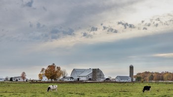 Everyday shoppers in Canada could soon be paying more for the breakfast staple and questioning whether it is worth the cost.
