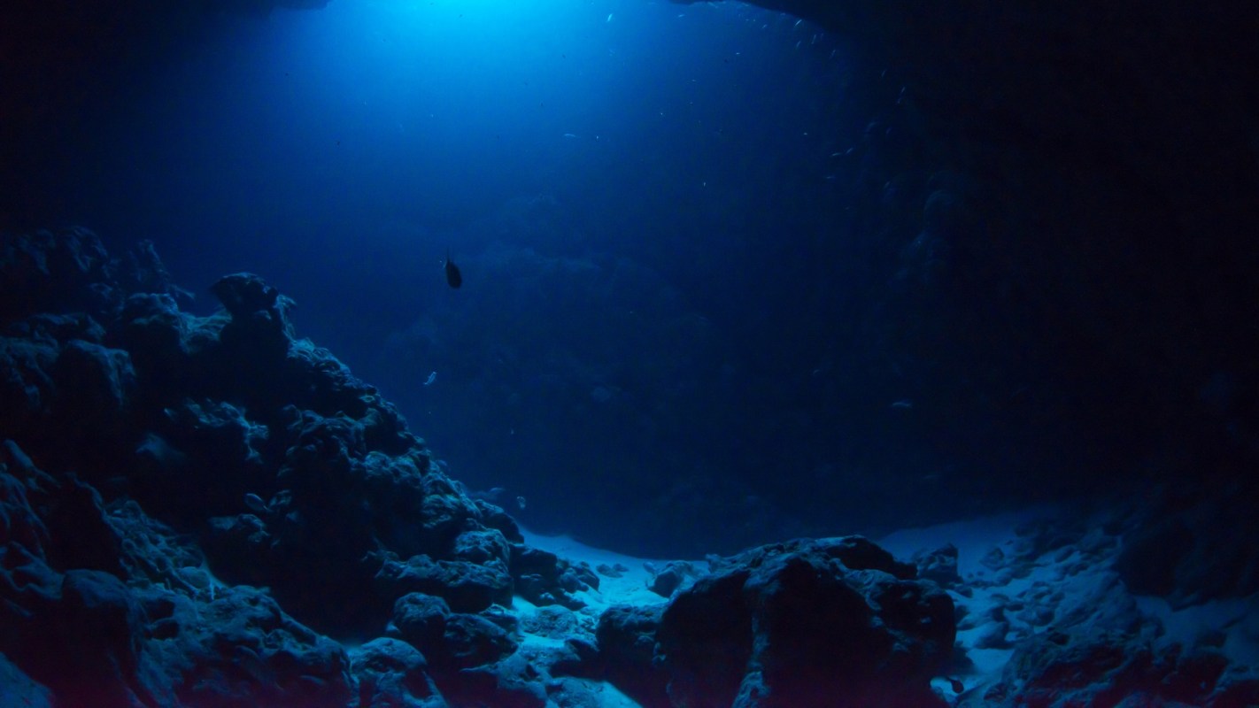 Scientists exploring the ocean floor have uncovered a previously unknown mountain range bursting with life — including never-before-seen creatures.