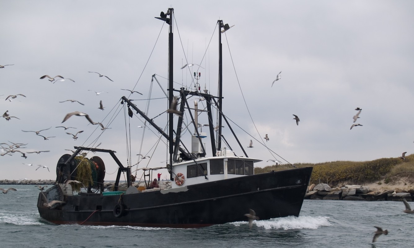 Rhode Island is taking a delicious approach to tackling an ecological threat: encouraging residents to eat invasive green crabs.