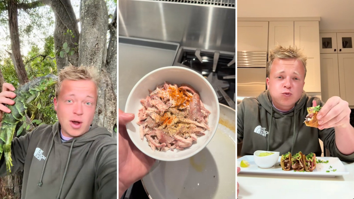 One Floridian TikToker showed how to make iguana tacos, sparking a heated debate on whether it's ethical to eat invasive species.
