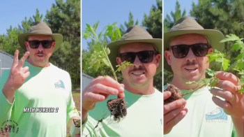 Big box stores will soon be stocked with tomato seedlings. To help gardeners prepare, one farmer cautioned about a common planting myth.