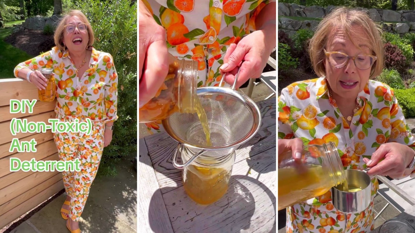 Fortunately a TikTok creator has a kid- and pet-friendly way to keep them out.