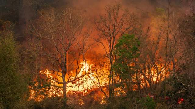 Minnesota resident Elizabeth Young received a bill for almost $150,000 to cover the cost of fighting a fire that officials say burned more than 2,000 acres.